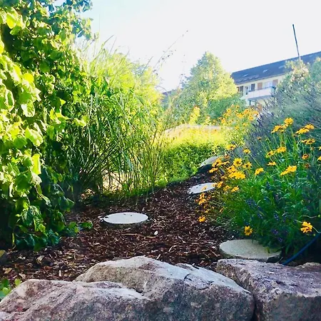 Modern Und Gemutlich In Zentraler Lage Homestay